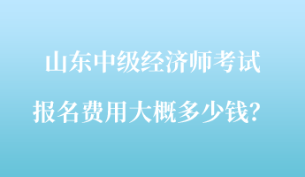 山东中级经济师考试报名费用大概多少钱？