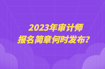 2023年审计师报名简章何时发布？