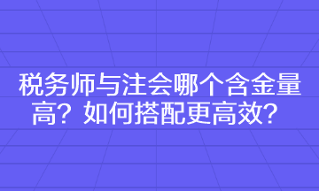 税务师与注会哪个含金量高 如何搭配更高效？