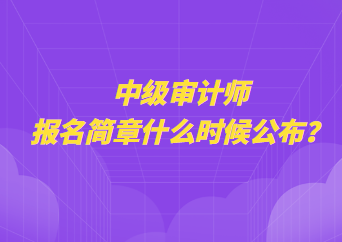 中级审计师报名简章什么时候公布？