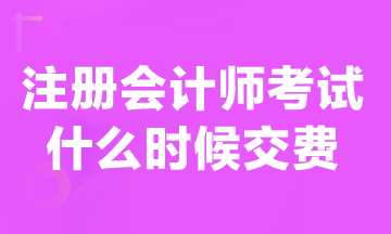 注会考试报名费贵吗？现在可以交费吗？