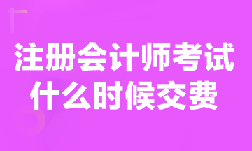 甘肃省注册会计师考试报名交费入口开通啦~