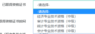 已取得资格证书