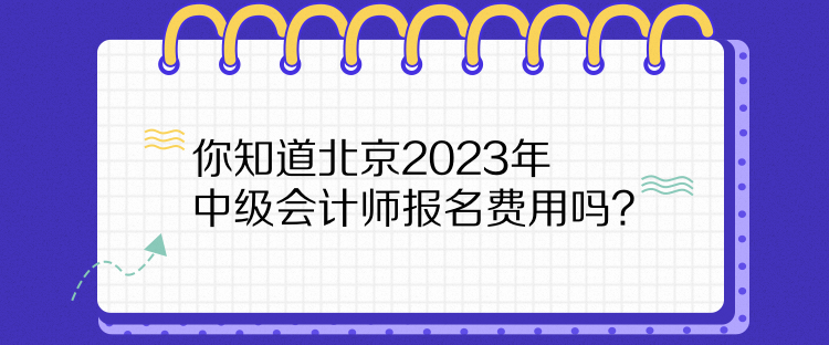 你知道北京2023年中级会计师报名费用吗？