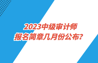 2023中级审计师报名简章几月份公布？