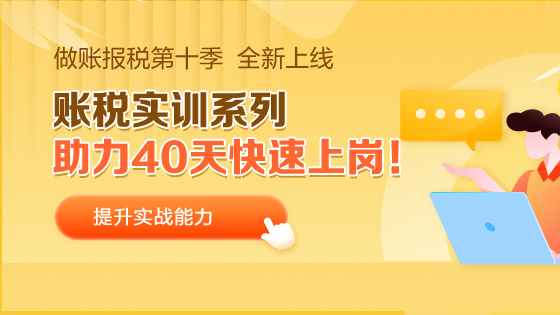 会计做账报税私教班第十季