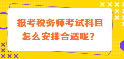 报考税务师考试科目怎么安排合适呢？