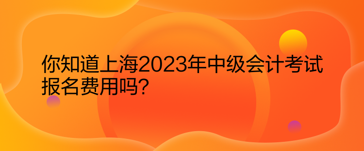 你知道上海2023年中级会计考试报名费用吗？