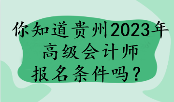 你知道贵州2023年高级会计师报名条件吗？