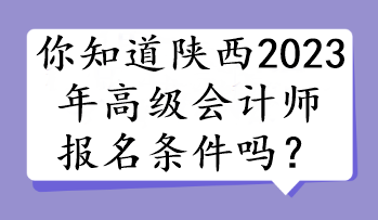 你知道陕西2023年高级会计师报名条件吗？