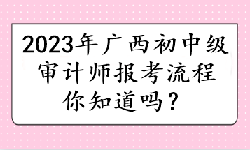 2023年广西初中级审计师报考流程你知道吗？