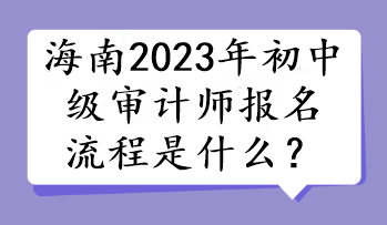 海南2023年初中级审计师报名流程是什么？