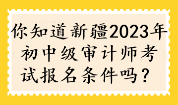 你知道新疆2023年初中级审计师考试报名条件吗？