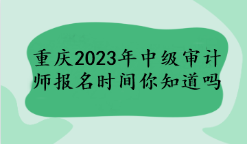 重庆2023年中级审计师报名时间你知道吗