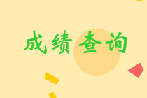 黑龙江省2023年会计初级考试成绩公布了没？