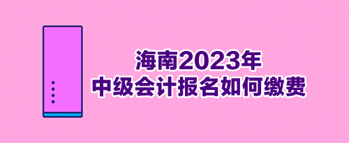海南2023年中级会计报名如何缴费
