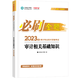 审计相关基础知识必刷金题