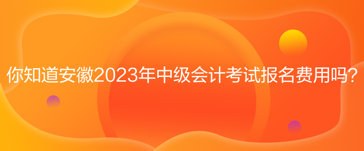 你知道安徽2023年中级会计考试报名费用吗？