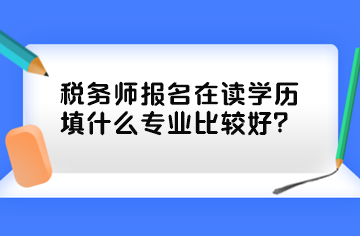 税务师报名在读学历填什么专业比较好？