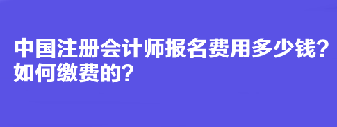 中国注册会计师报名费用多少钱？如何缴费的？