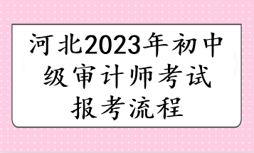 河北2023初中级审计师考试报考流程