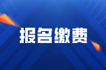 辽宁2023年审计师考试报名6月19日24:00截止