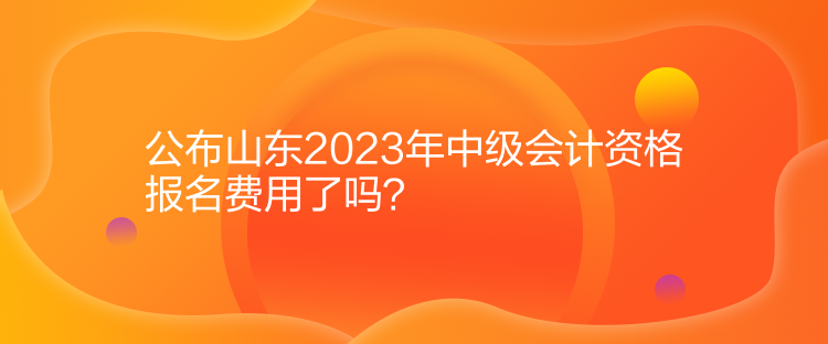 公布山东2023年中级会计资格报名费用了吗？