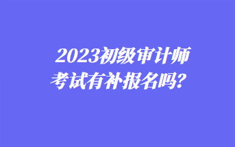 2023年初级审计师考试有补报名吗？