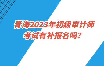 青海2023年初级审计师考试有补报名吗？