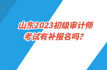 山东2023初级审计师考试有补报名吗？