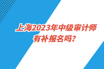 上海2023年中级审计师有补报名吗？