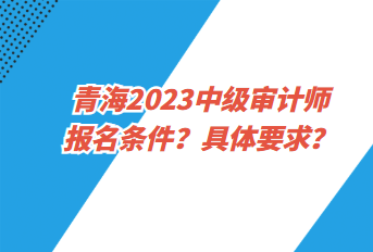 青海2023中级审计师报名条件？具体要求？