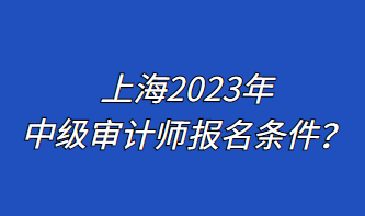 上海2023年中级审计师报名条件？