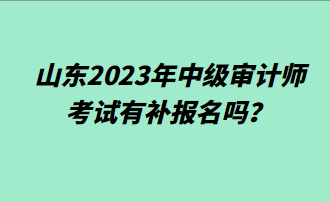 山东2023年中级审计师考试有补报名吗？