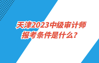 天津2023中级审计师报考条件是什么？