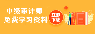 审计师资料下载