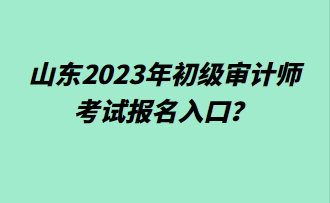 山东2023年初级审计师考试报名入口？