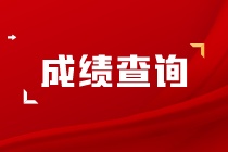 成绩查询