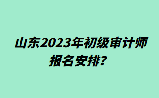 山东2023年初级审计师报名安排？