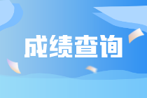 2023年注会考试成绩公布时间确定了吗？查询入口是什么？