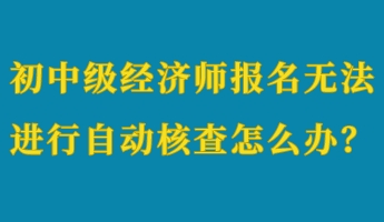 初中级经济师报名无法进行自动核查怎么办？