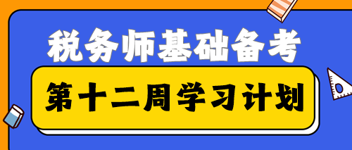 2023税务师基础备考进入第十二周学习计划