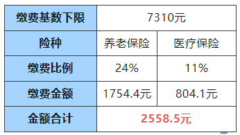 灵活就业人员请注意，本月起您的社保缴费额有调整！