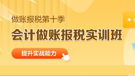 会计做账报税私教班第十季