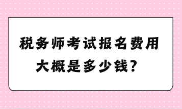 税务师考试报名费用大概是多少钱？