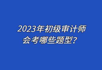 2023年初级审计师会考哪些题型？
