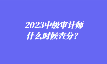 2023中级审计师什么时候查分？