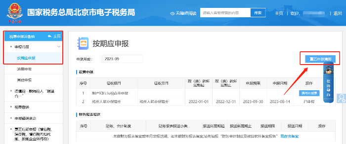 请问，如何查询全年的入库缴纳金额？