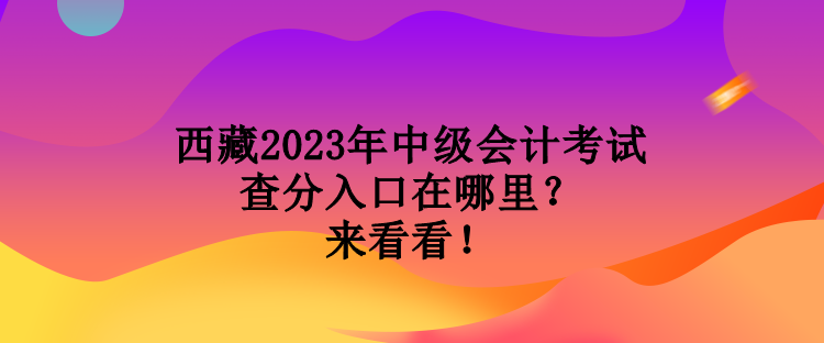 西藏2023年中级会计考试查分入口在哪里？来看看！