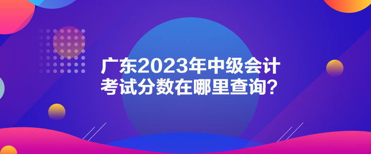 广东2023年中级会计考试分数在哪里查询？